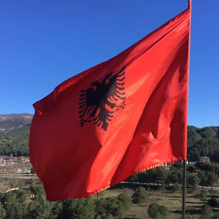 Sunny * ساراندا