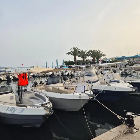 Sunny ساراندا